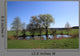 Pond