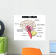 Human Brain Wall Mural