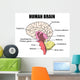 Human Brain Wall Mural
