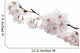 Cherry blossom Wall Decal