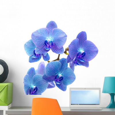 Blue Orchid Wall Decal shown on a wall