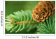 Pine Cone and Branches Wall Decal
