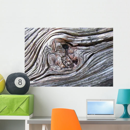 Wurzel Wall Decal