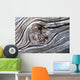 Wurzel Wall Decal