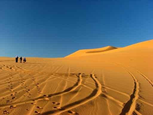 Sur La Dune Wall Decal