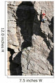 Extreme Rock Climber Wall Mural