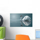 swan reflections Wall Mural