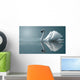 swan reflections Wall Mural