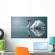 swan reflections Wall Mural