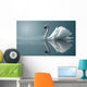 swan reflections Wall Mural