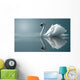 swan reflections Wall Mural