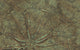 Petrified Plant Wall Mural