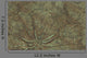 Petrified Plant Wall Mural