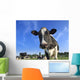 dairy cows Wall Mural