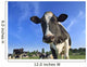 dairy cows Wall Mural