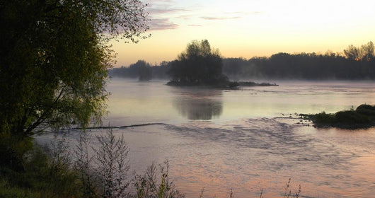 Brume Sur La Loire
