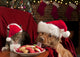 Cat and Dog Devouring Santas Cookies Wall Mural