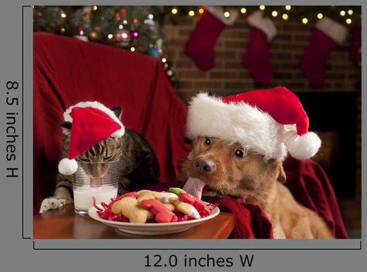 Cat and Dog Devouring Santas Cookies Wall Mural