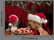 Cat and Dog Devouring Santas Cookies Wall Mural