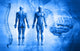 Human Body Wall Mural