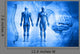 Human Body Wall Mural