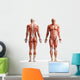 anatomy, muscles Wall Decal
