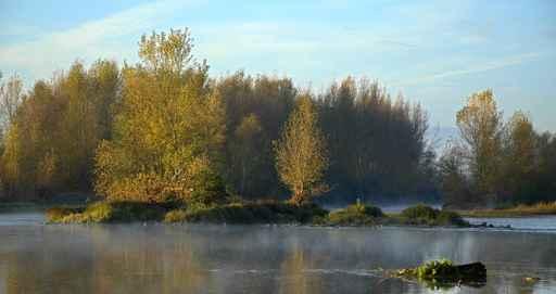 Matin Loire Wall Decal