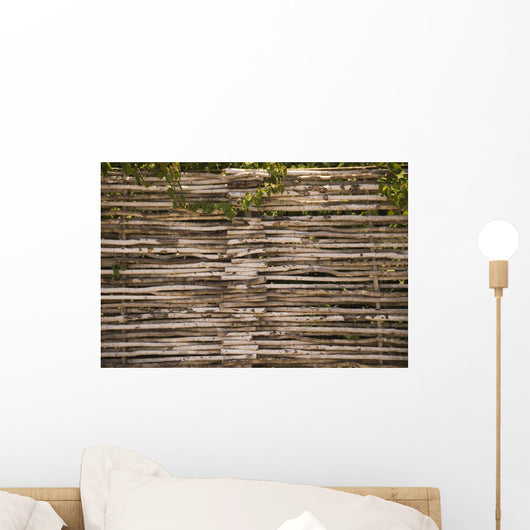 Wood Fence