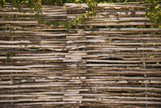Wood Fence