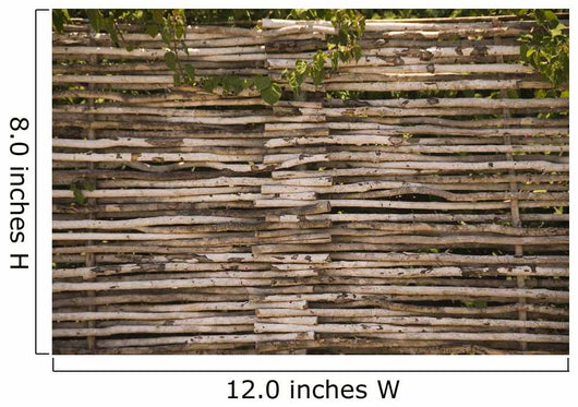 Wood Fence
