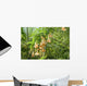 Datura Wall Mural