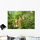 Datura Wall Mural