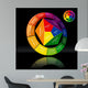Color Wheel Wall Mural