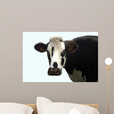 Black and White Cow Wall Decal shown on a wall