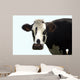 Black and White Cow Wall Decal