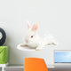 Rabbit Wall Mural