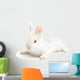 Rabbit Wall Mural