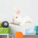 Rabbit Wall Mural