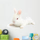 Rabbit Wall Mural