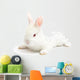 Rabbit Wall Mural