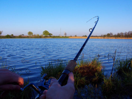Fishing Time
