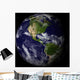 Planet Earth Wall Mural
