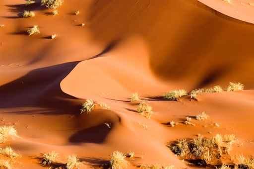 Red Sand Dune Wall Decal