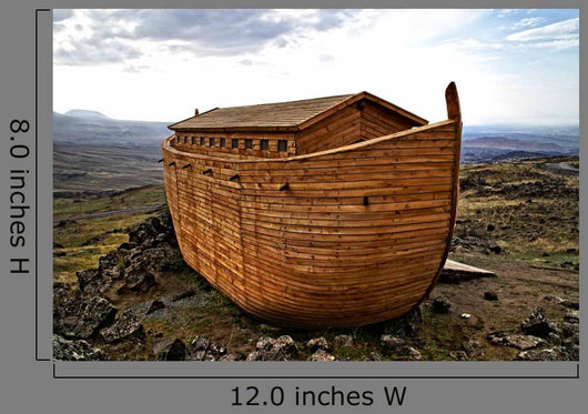 Noah's Ark Construction