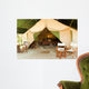 Luxury Tent Wall Mural