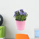 Blue Pansy Plant
