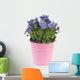 Blue Pansy Plant
