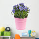 Blue Pansy Plant