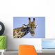 giraffe Wall Mural
