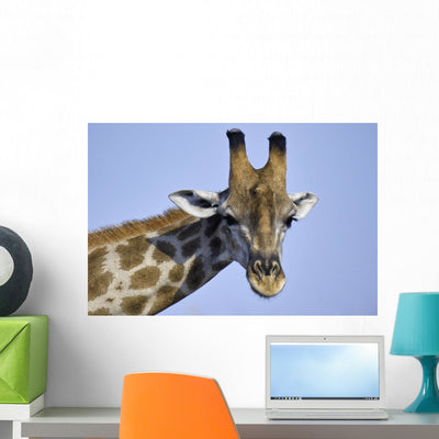 Giraffe Wall Mural shown on a wall